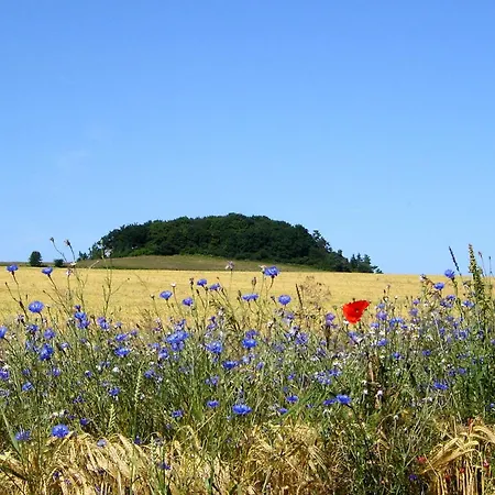 F-1112 Haus Strandnah, Terrasse
