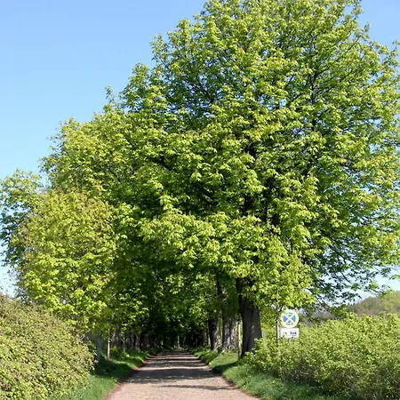 Casa de Férias F-1112 Haus Strandnah, Terrasse *